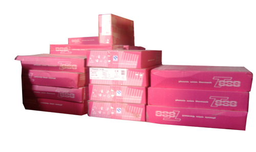 �¹���ɭ����